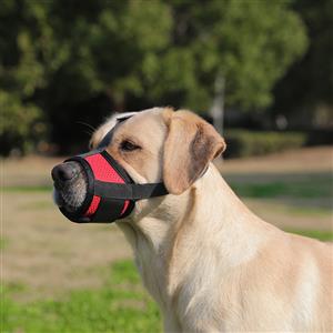 Medium size dog mouthpiece