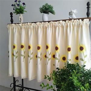 Door curtain